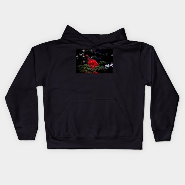 Scarlet Ibis Kids Hoodie by Ladymoose